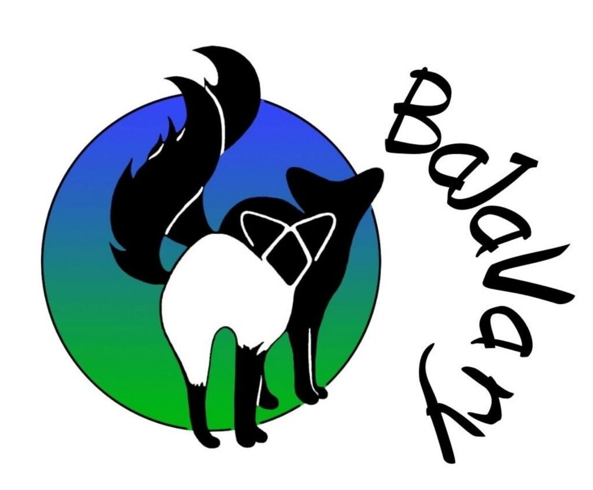 BaJaVa ry