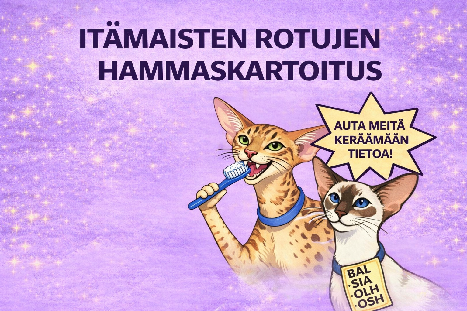 hammaskartoitus kysely